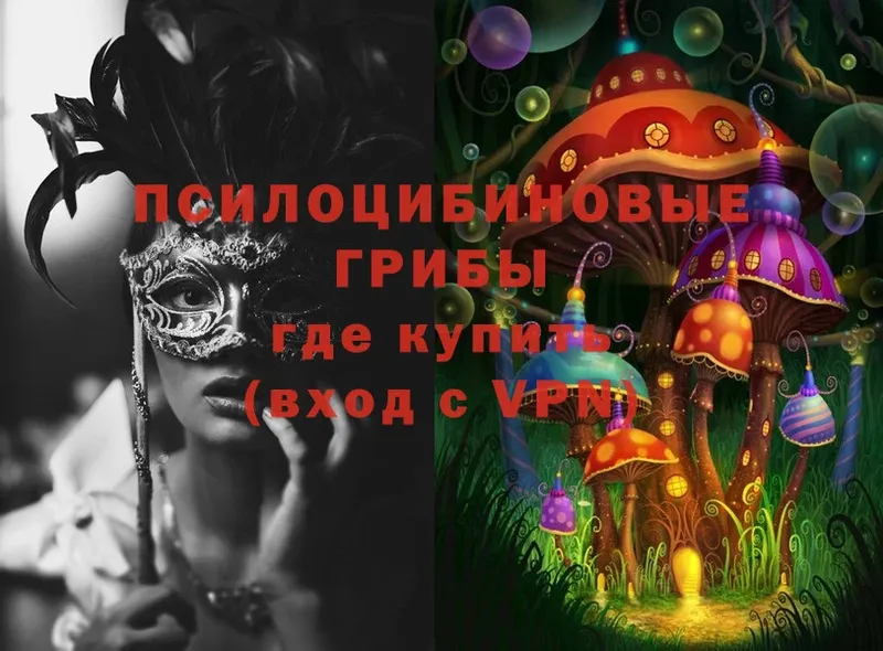 МЕГА зеркало  Нариманов  Галлюциногенные грибы MAGIC MUSHROOMS 